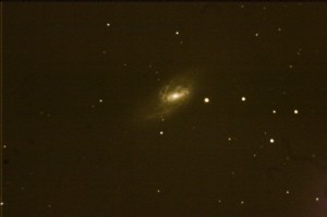 M66