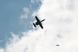 A10 with eagle on July 4th 2009