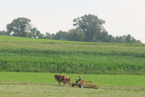 Amish Tractor