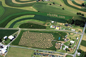 Lancaster Corn Maze - Great Fun For the Family!