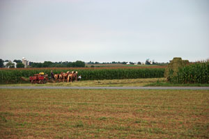 Farming in Lancaster