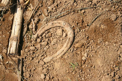 Dan Michael's Horse Shoe - September 2nd, 2009