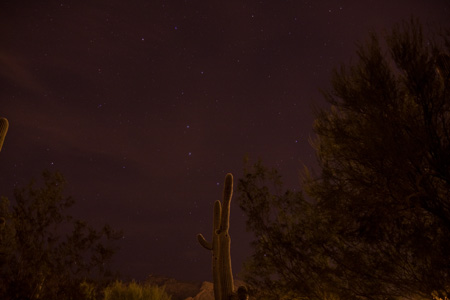 Big Dipper & Cactus in Tucson - February 5th, 2010