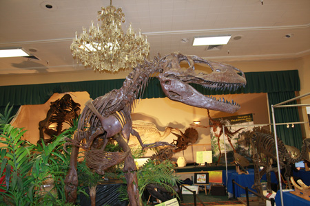 Tucson Fossil & Meteorite Show - February 2010