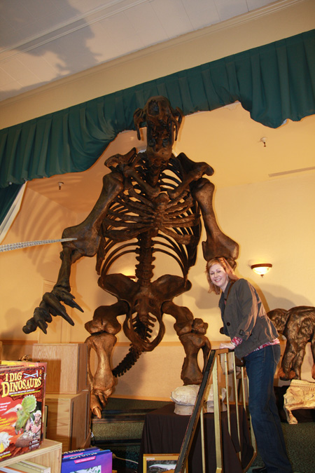 Giant Sloth Fossil