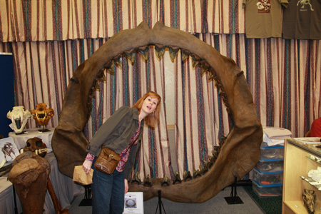 Megalodon Jaws