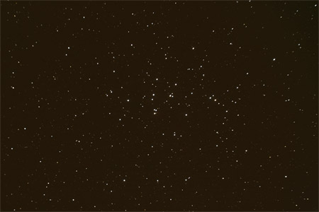 Beehive Cluster - March 20th, 2010