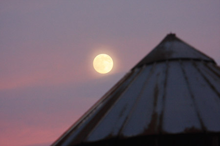 Full Beaver Moon - Lancaster November 20th, 2010