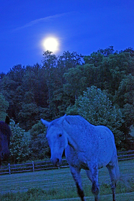 Super Moon - June 22nd, 2013