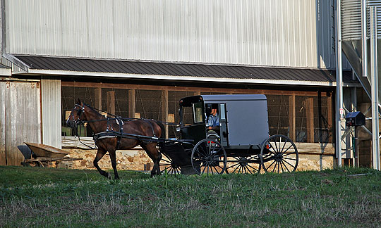 Amish Horse and Buggy - June 21st, 2013